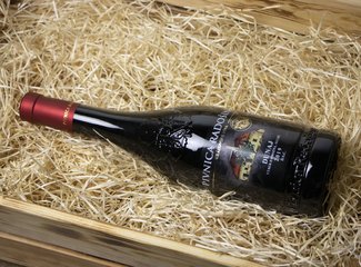 Pivnica Radošína Dunaj 2019