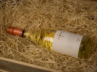 Tajná Semillon Fresh 2020