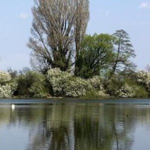 Trnavské rybníky