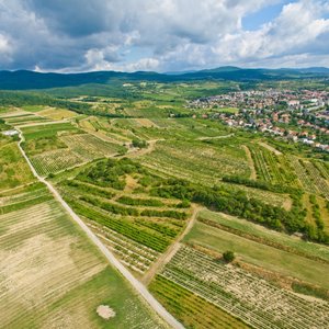 Chránená Krajinná oblasť Malé Karpaty