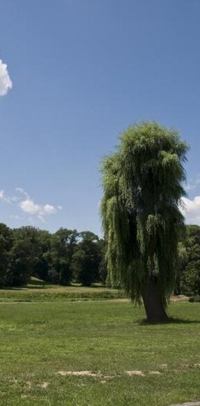 Park pri Kaštieli v Dolnej Krupej