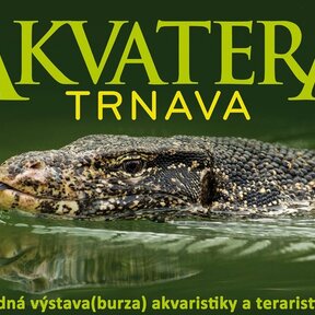 Akvatera Trnava