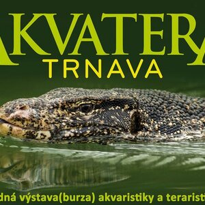 Akvatera Trnava