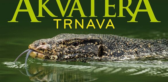 Akvatera Trnava