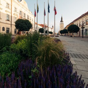 Mestská veža