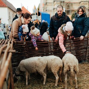 Stredoveké adventné trhy v Trnave