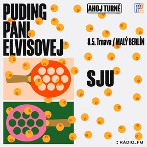 Puding pani Elvisovej a SJU - krst albumu