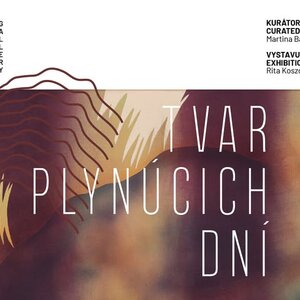 Rita Koszorús: Tvar plynúcich dní