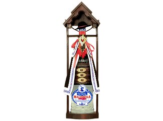 GAS Goral Malinovica 42% 3  l