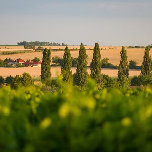 Terra Parna
