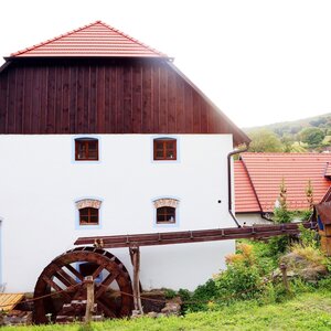 Vína z Mlyna