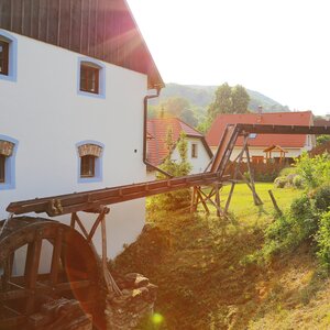 Vína z Mlyna