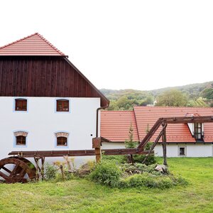 Vína z Mlyna