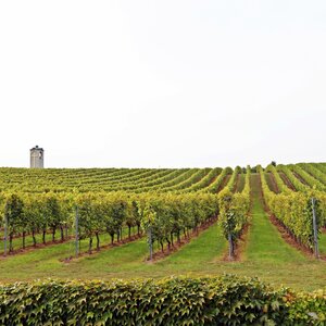 Terra Parna