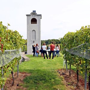 Terra Parna