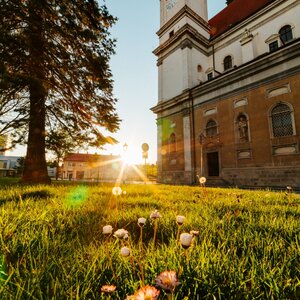 Katedrála sv. Jána Krstiteľa
