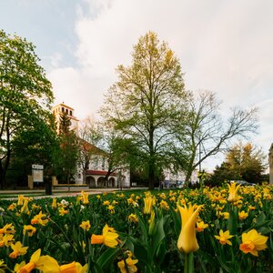 Evanjelický kostol