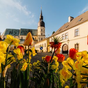 Bazilika sv. Mikuláša