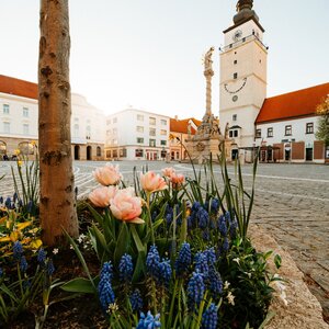 Súsošie Najsvätejšej Trojice