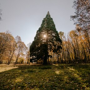 Sedem divov Dolnej Krupej