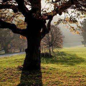 Park pri Smolenickom zámku