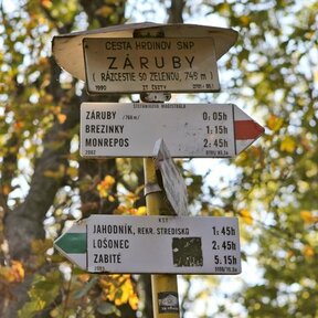 Záruby