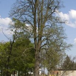 Park pri Kaštieli vo Voderadoch