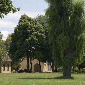 Park pri Kaštieli v Dolnej Krupej