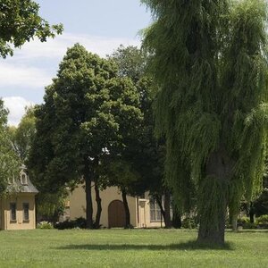 Park pri Kaštieli v Dolnej Krupej