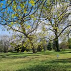 Park pri kaštieli v Jaslovských Bohuniciach