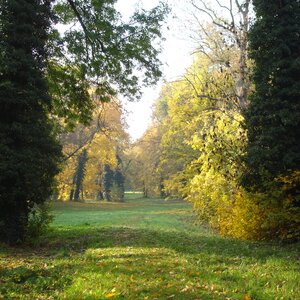 Park pri kaštieli v Dolnej Krupej