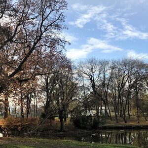 Park pri kaštieli Voderady