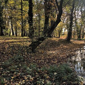 Park pri kaštieli Voderady