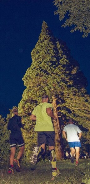 NIGHT RUN Apimed: nočný beh Dolnou Krupou