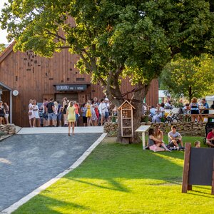 Letný festival Medokvas pod Smolenickým zámkom