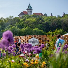 Letný festival Medokvas pod Smolenickým zámkom
