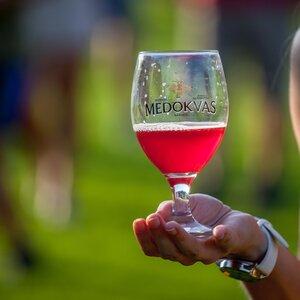 Letný festival Medokvas pod Smolenickým zámkom