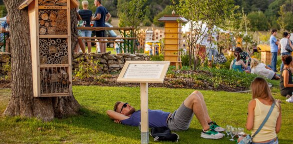 Letný festival Medokvas pod Smolenickým zámkom