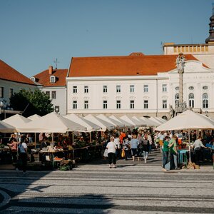 Mestský trh v Trnave
