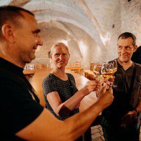 Prehliadka Trnavy s ochutnávkou vína / stála ponuka prehliadok