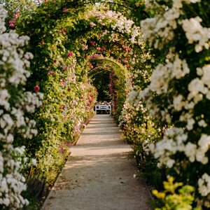 V Dolnej Krupej uzavrie včelársku sezónu Medobranie
