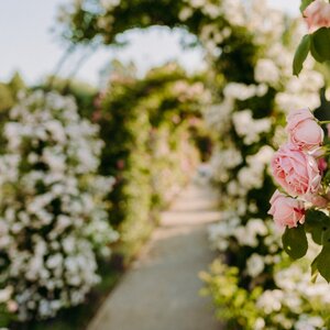 V Dolnej Krupej uzavrie včelársku sezónu Medobranie