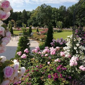 V Dolnej Krupej uzavrie včelársku sezónu Medobranie