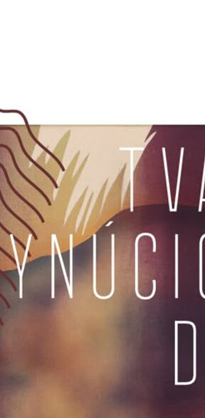 Rita Koszorús: Tvar plynúcich dní