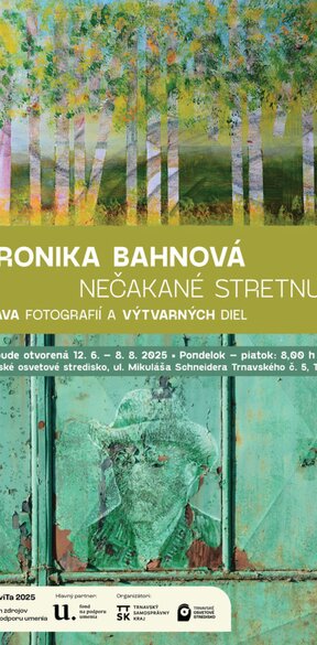 Veronika Bahnová - Nečakané stretnutia