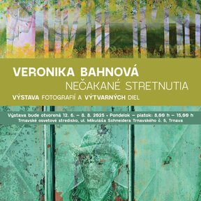Veronika Bahnová - Nečakané stretnutia