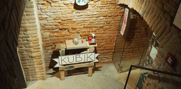 Pivničná pleseň