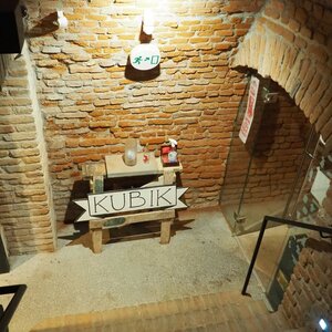 Pivničná pleseň