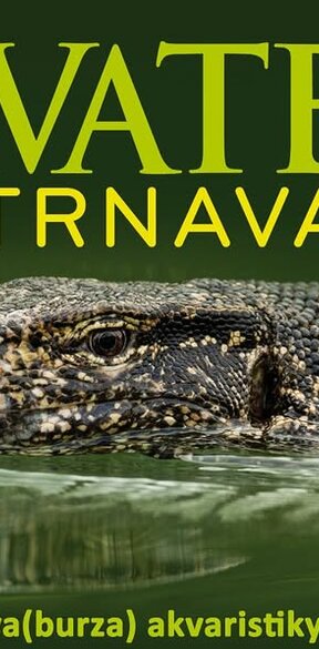 Akvatera Trnava
