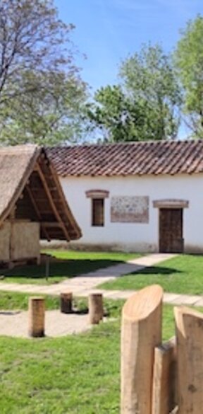 ArcheoLeto